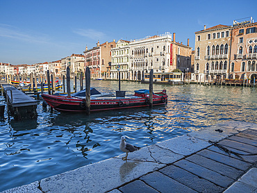 View of the Grand Canal from the Rialto Fish Market, Venice, UNESCO World Heritage Site, Veneto, Italy, Europe