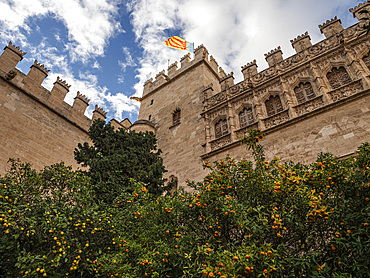 Courtyard with orange trees, La Lonja Silk Exchange, Valencia, Spain, Europe