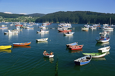 Fishing boats and headland, Ria de Cedeira, La Coruna area, Galicia, Spain, Europe