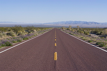 Road through the Mojave Desert, California, United States of America, North America