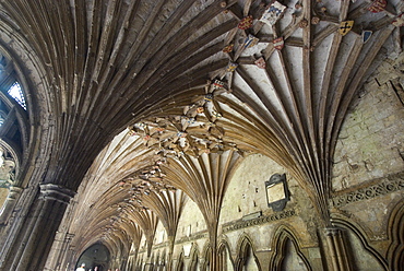 Vaulted ceiling in the cloister, Canterbury Cathedral, UNESCO World Heritage Site, Canterbury, Kent, England, United Kingdom, Europe