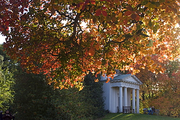 King William's Temple under autumn leaves, Kew Gardens, UNESCO World Heritage Site, Greater London, England, United Kingdom, Europe