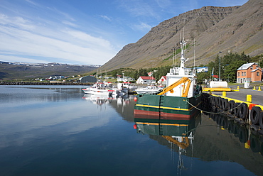 Boats in the harbour at the village of Bildudalur, West Fjords, Iceland, Polar Regions