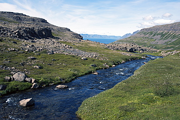 River flowing into the fjord, in the West Fjords, Iceland, Polar Regions