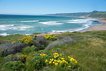 View of Jalama Beach County Park, near Lompoc, California, United States of America, North America