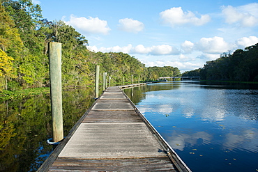 Boardwalk along Wades Creek, near St. Augustine, Florida, United States of America, North America