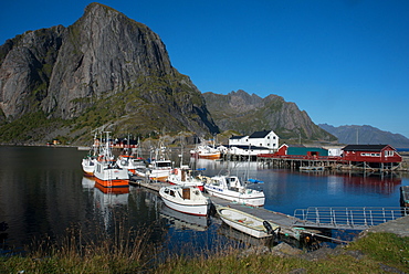 View of Hamnoya Harbour, Lofoten Islands, Nordland, Norway, Scandinavia, Europe