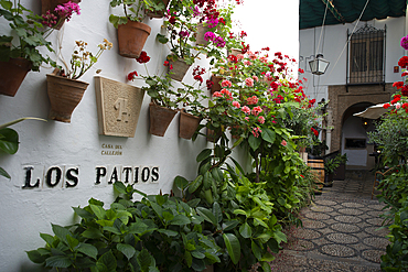 Los Patios, Cordoba, Andalusia, Spain, Europe