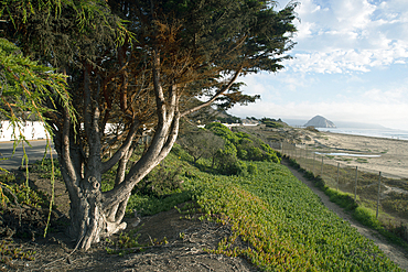 Morro Bay, California, United States of America, North America