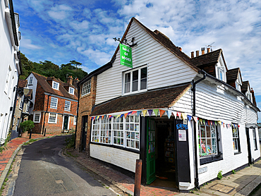 Bag of Books, Lewes, East Sussex, England, United Kingdom, Europe