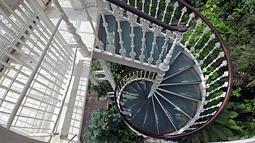 Palm House, Kew Gardens
