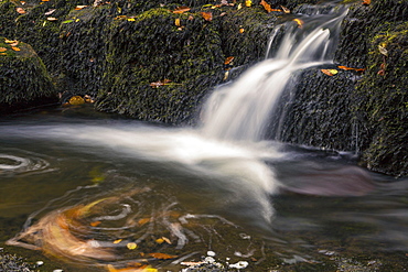 Brecon Beacons Waterfall, Powys, Wales, United Kingdom, Europe