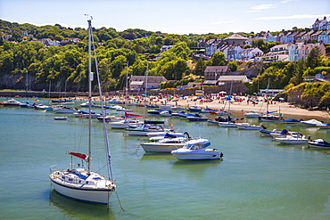 New Quay, Ceredigion, Dyfed, West Wales, Wales, United Kingdom, Europe