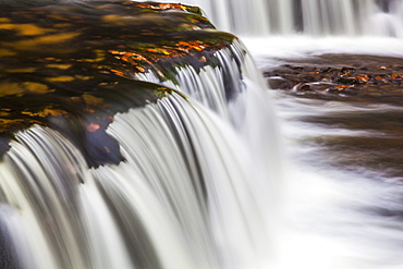 Horseshoe Falls, near Pontneddfechan, Brecon Beacons National Park, Powys, Wales, United Kingdom, Europe