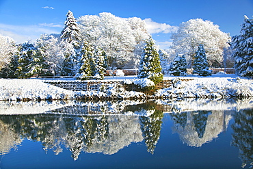 Bute Park, Snow, Cardiff, Wales, UK