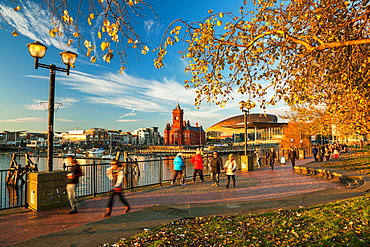 Autumn in Cardiff Bay, Wales, United Kingdom, Europe