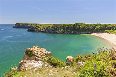 Barafundle Bay, Pembrokeshire Coast, Pembrokeshire, Wales, United Kingdom, Europe