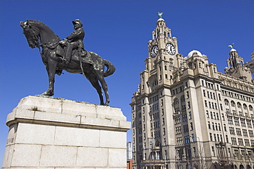 Statue of Edward VII and Liver Building, Albert Dock, Liverpool, Merseyside, England, UK