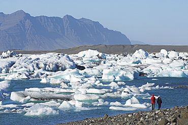 Icebergs in the glacial melt water lagoon at Jokulsarlon, Breidamerkurjokull, South area, Iceland, Polar Regions