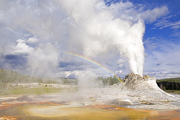 Eruption of Castle Geyser with rainbow in the spray, Upper Geyser Basin, Yellowstone National Park, UNESCO World Heritage Site, Wyoming, United States of America, North America