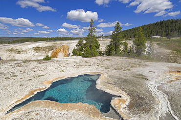 Blue Star Spring, Upper Geyser Basin, Yellowstone National Park, UNESCO World Heritage Site, Wyoming, United States of America, North America