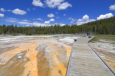 Wooden boardwalk over the mineral sinter formations on Geyser Hill, Upper Geyser Basin, Yellowstone National Park, UNESCO World Heritage Site, Wyoming, United States of America, North America