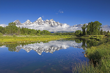 The Cathedral Group of Mount Teewinot, Mount Owen and Grand Teton reflected in the Snake River, Schwabacher's Landing, Grand Teton National Park, Wyoming, United States of America, North America