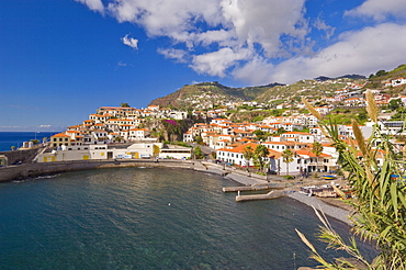 The small south coast harbour of Camara de Lobos, Madeira, Portugal, Atlantic, Europe