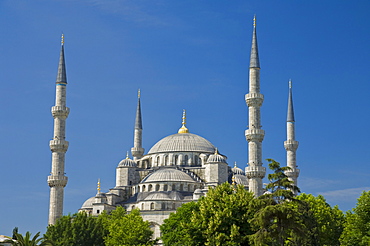 The Blue Mosque (Sultan Ahmet Camii) with domes and minarets, Sultanahmet, central Istanbul, Turkey, Europe