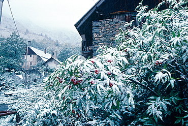 France, Alps, Savoie, Valloire, First Snow In September