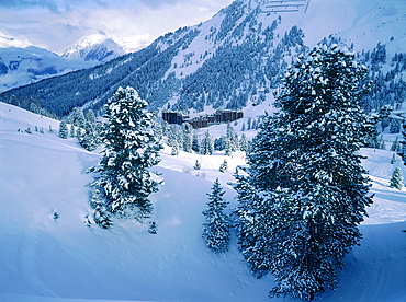 France, Alps, Haute-Savoie, Avoriaz In Winter, Overview From A Pines Forest