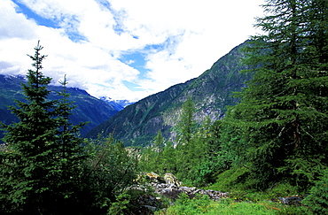 France, Alps, Haute-Savoie, Chamonix, Walk In The Town