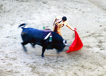 Spain, Madrid, Plaza De Toros, Six Toros Corrida With Matador Julian Lopez El Juli Hold On May 27th 2003 (San Isdro Feria)