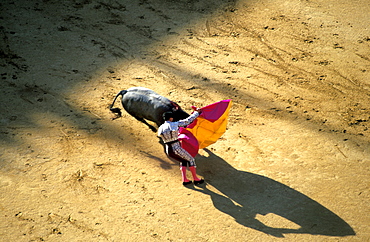 Spain, Madrid, Plaza De Toros, Six Toros Corrida With Matador Julian Lopez El Juli Hold On May 27th 2003 (San Isdro Feria)