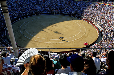 Spain, Madrid, Plaza De Toros, Six Toros Corrida With Matador Julian Lopez El Juli Hold On May 27th 2003 (San Isdro Feria)