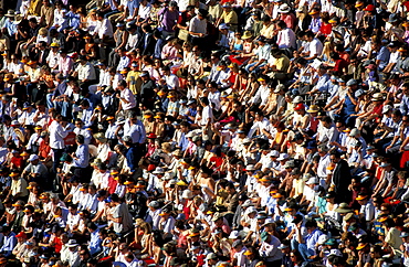 Spain, Madrid, Plaza De Toros, Six Toros Corrida With Matador Julian Lopez El Juli Hold On May 27th 2003 (San Isdro Feria)