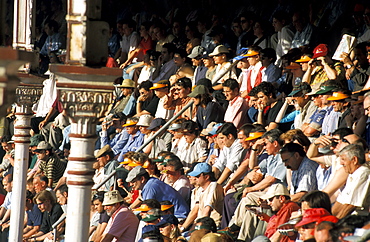 Spain, Madrid, Plaza De Toros, Six Toros Corrida With Matador Julian Lopez El Juli Hold On May 27th 2003 (San Isdro Feria)