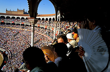 Spain, Madrid, Plaza De Toros, Six Toros Corrida With Matador Julian Lopez El Juli Hold On May 27th 2003 (San Isdro Feria)