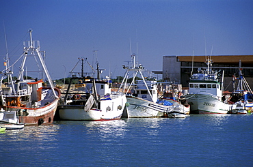 Spain, Andaloucia, Cadiz Bay, Puerto De Santa Maria, The Fishermen Harbour