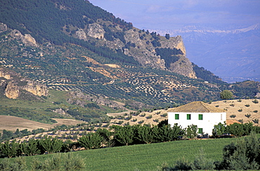 Spain, Andaloucia, Vicinity Of Cordoba