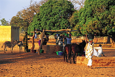 Senegal, Cayor Province, The Well In A Wolof Village