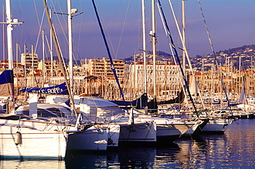 France, Provence Cote D'azur, Alpes Maritimes (06), Cannes Harbour, Yachts Anchored