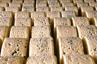 France, Midipyrenees, Aveyron (12), Roquefort, Maturing Roquefort Cheeses In Cellars