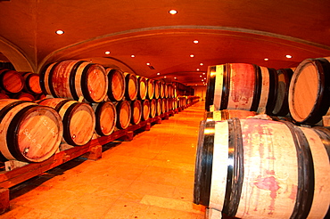 France, Rhonealpes, Rhone, Ampuis (69), Wine Cellars