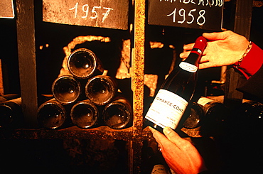 France, Burgondy, Cote D'or (21), City Of Beaune, Presenting A Costly Wine In A Cellar