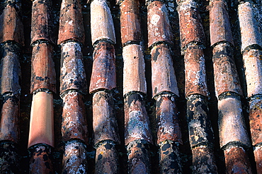 Croatia, Dalmatia, Dalmatian Coast, Split, Old Tiles Roof