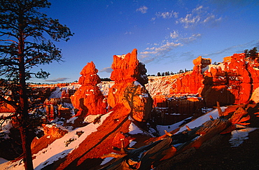 Usa, South West, Utah, Bryce Canyon National Park In Winter, Landscape At Sunrise