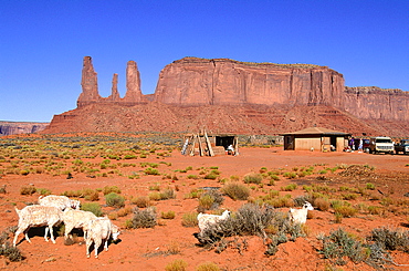 Usa, South West, Arizona & Utah, Navajo Reservation Of Monument Valley, The Three Sisters Red Rocks Peaks (Mesas), Navajo Compound And Sheep Grazing