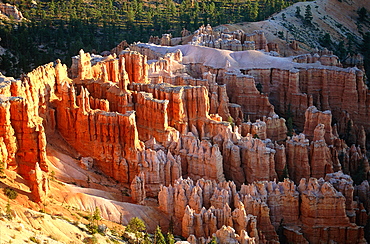 Usa, South West, Utah, Bryce Canyon National Park In Summer, Landscape At Dusk