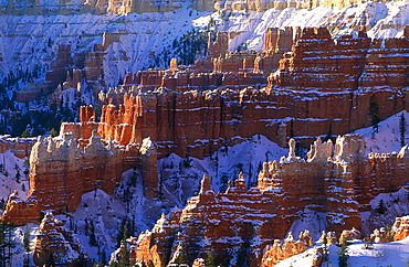 Usa, South West, Utah, Bryce Canyon National Park In Winter, Landscape At Sunrise